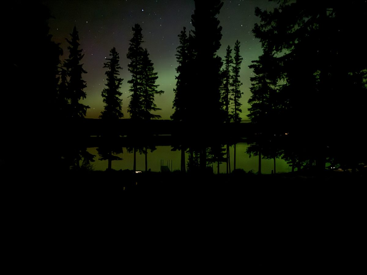 Northern lights glowing green over Leighton Lake behind silhouetted spruce trees