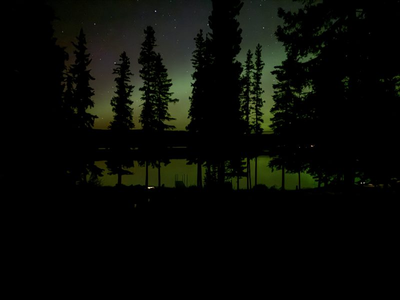 Northern lights glowing green over Leighton Lake behind silhouetted spruce trees on a starry night