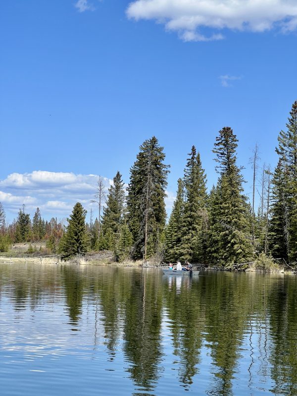 Family fishing from a small boat along the spruce-lined shoreline of Leighton Lake on a sunny day