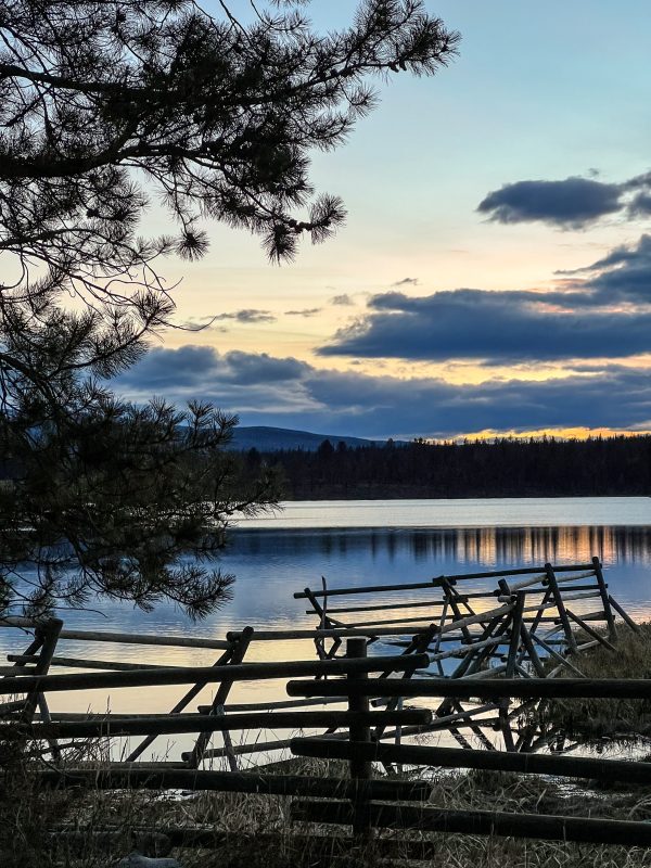 Rustic log fence at the edge of Leighton Lake at dusk beneath a pine bough, with hills silhouetted across the water
