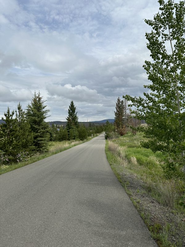 Quiet paved road into the Leighton Lake camping area, lined with aspen and spruce trees